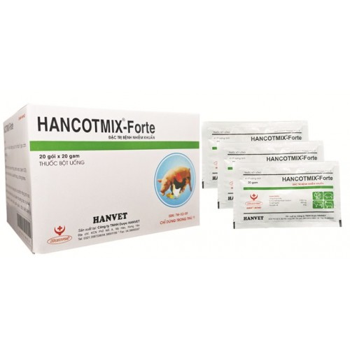 HANCOTMIX-FORTE